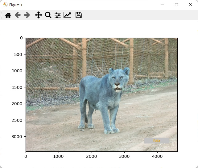 cv2(OpenCV)での間違った画像表示
